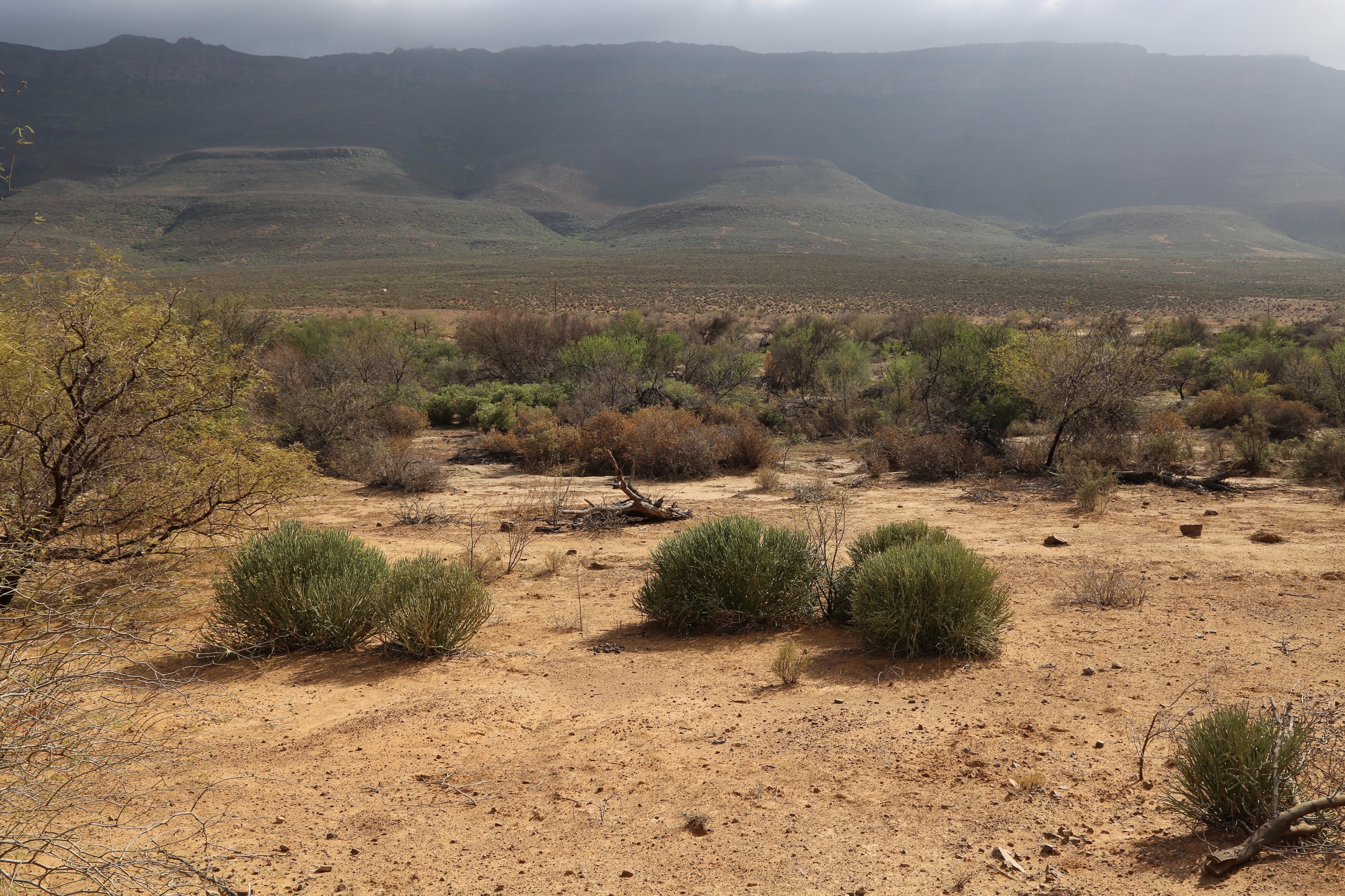 The Biedouw Valley on the road toward Wupperthal