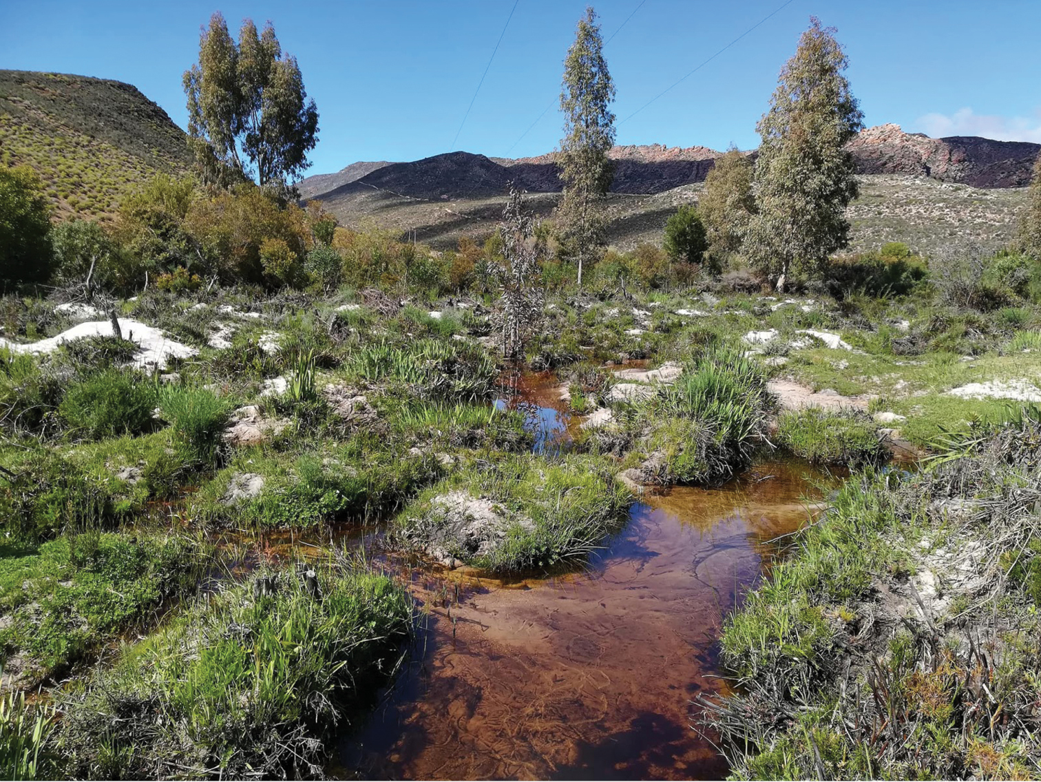 The Tra-Tra valley at Wupperthal